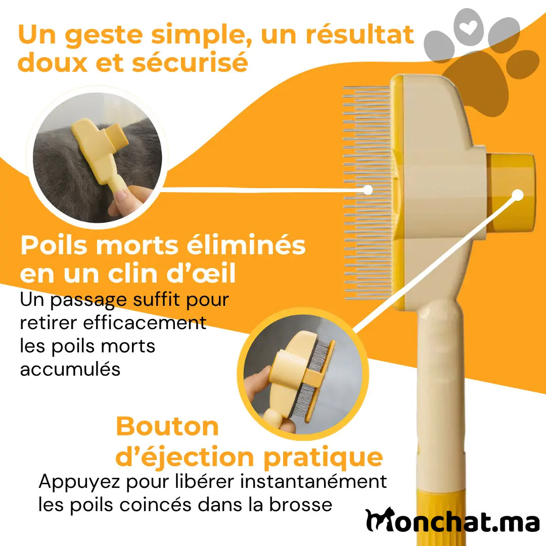 Brosse Attrape’Poils – Notre Bestseller