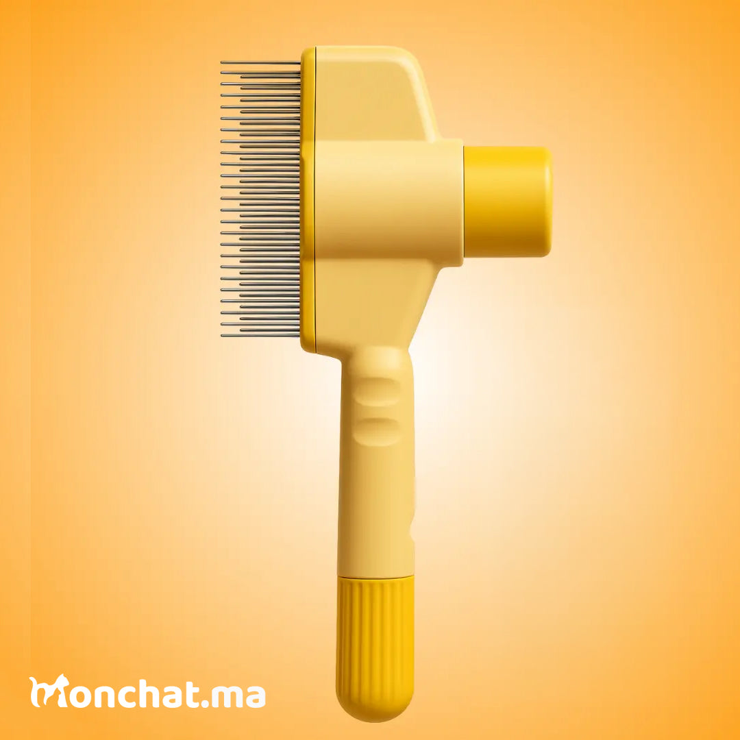 Brosse Attrape’Poils – Notre Bestseller