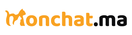 MonChat